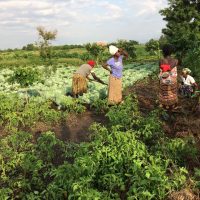 WhatsApp Video 2024-05-31 at 12.11.24_1c7113d5